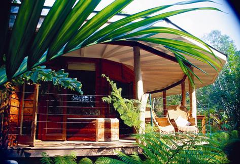 Amazing Wollumbin Palms Retreat