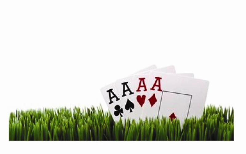 Chilla's Ace Mowing & Cleaning Services