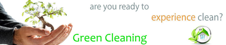 Master Cleaning Services: Serrata Circuit