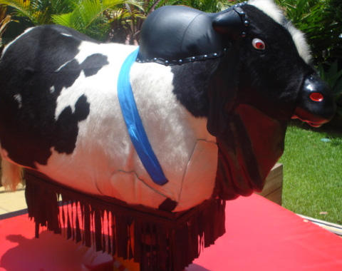 Bucking Brahman Sydney's Mechanical Bull