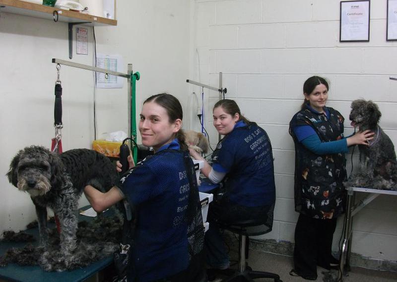 Boronia Dog Grooming & Pet Supplies