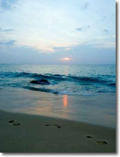 Deceased Estate Practical Support