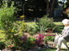 The Garden Man