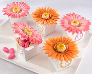 Princess Weddings & Functions