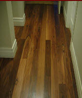 Creative Timber Floors: Pacific Pines logo