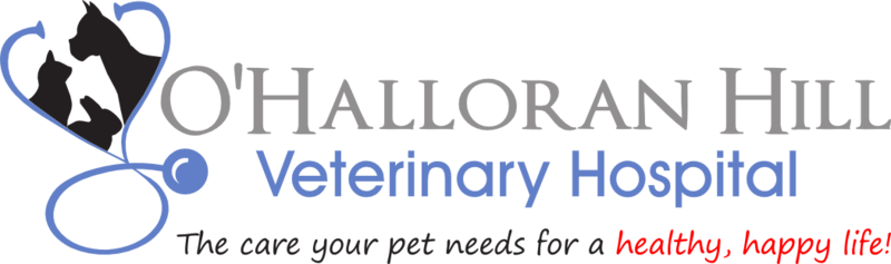 O'Halloran Hill Veterinary Hospital