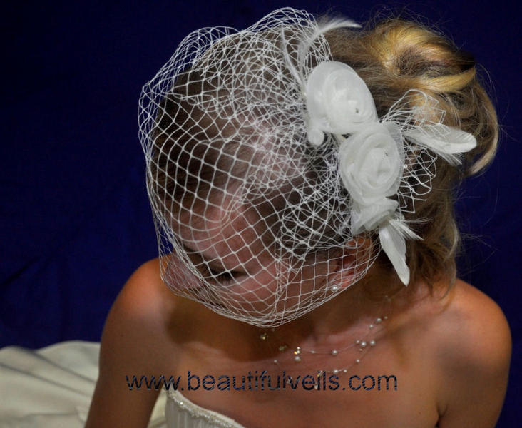 Beautiful Veils