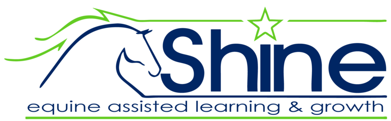 Shine Equine Therapy