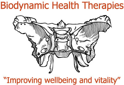 Biodynamic Craniosacral Therapy