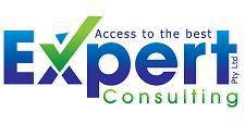 Expert Consulting Pty Ltd