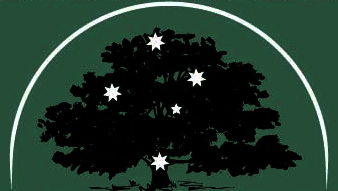 Northern Beaches Tree Service