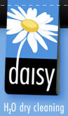 Daisy