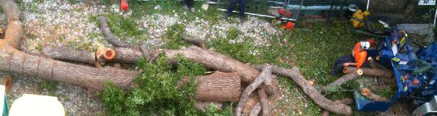 Shepherds Tree Service Pty Ltd