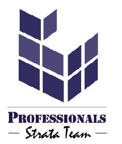 Professionals Strata Team
