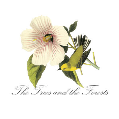 The Trees and the Forests Brand Consulting