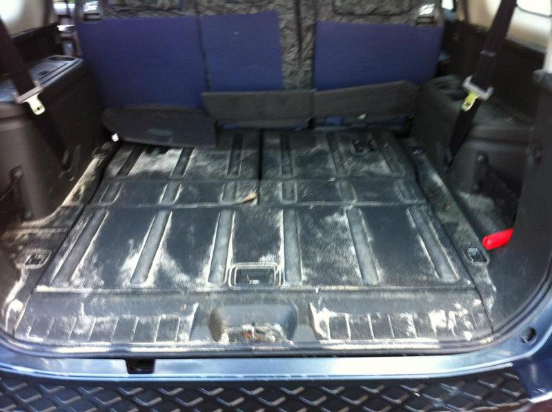 Ants Auto Shine