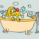 Scotty's Mobile Dog Wash and Grooming