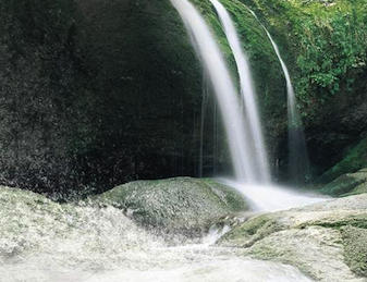 Nature Coast Landscapes