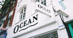 Seatree Signs & Designs