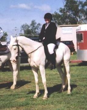 Tullabrack Riding School