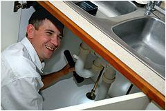 Environ Pest and Termite Management