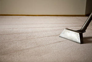 Perco Cleaning and Restoration