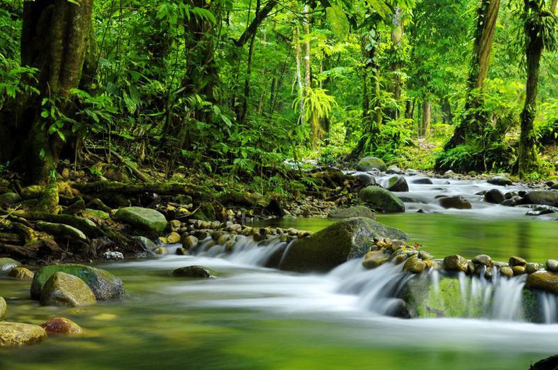 Off Beat Eco Tours