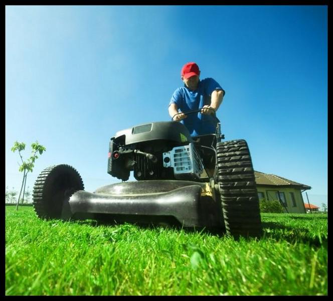 Ferny Mowing