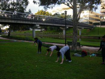 Unleashed Training: Sydney City