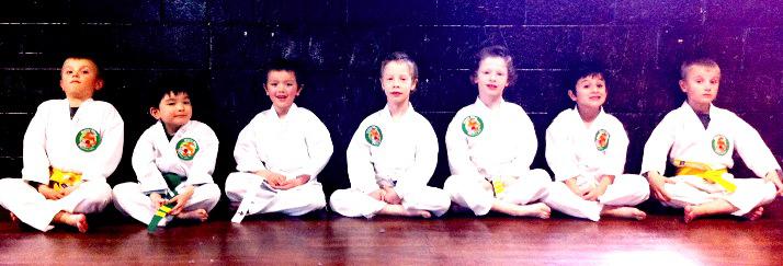 Arrow Martial Arts