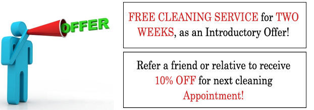 VIN Cleaning Service
