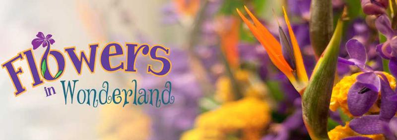 Flowers in Wonderland