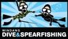 Windang Dive and Spearfishing