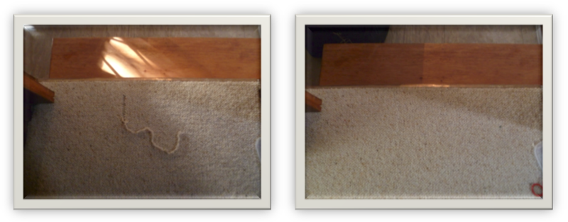 Lindette Carpet Service