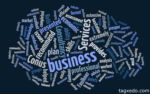 Conus Business Consultancy Services