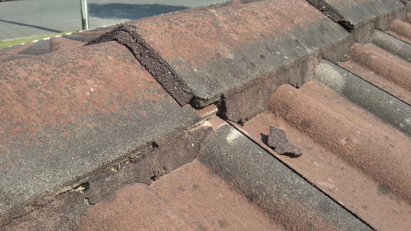 The Roof Man
