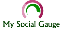 My Social Gauge logo