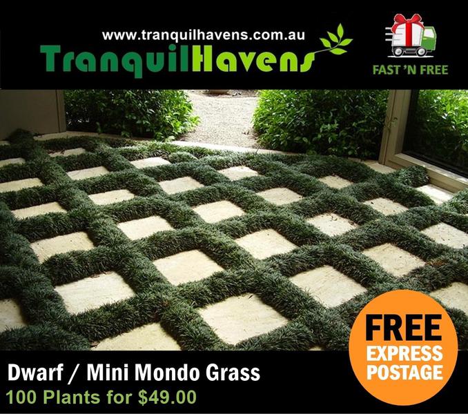 Tranquil Havens
