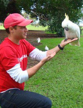 Peek Tours: Sydney