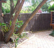 Brushwood Fencing
