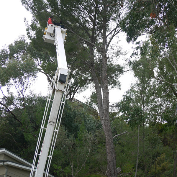 Ken-Well Tree Services Pty Ltd