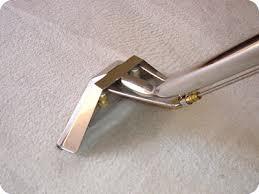 Carpet Cleaning Elsternwick: Glen Huntly Rd logo