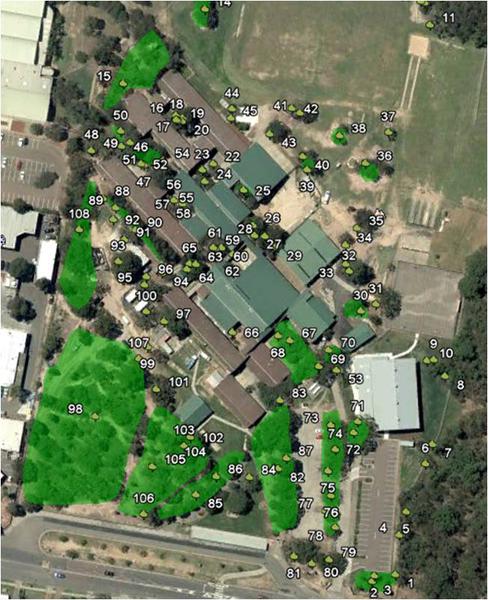 MS Consulting Arborist