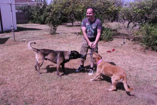 InLine K9