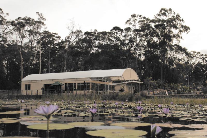 Abundance Lifestyle and Garden