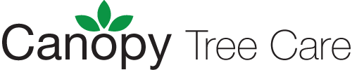 Canopy Tree Care logo