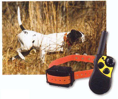 SportDog Australia