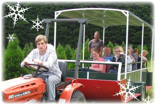 Peninsula Christmas Tree Farm