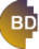 Brinoz Data Tech logo