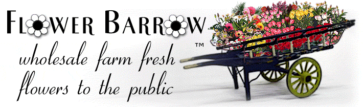 Flower Barrow
